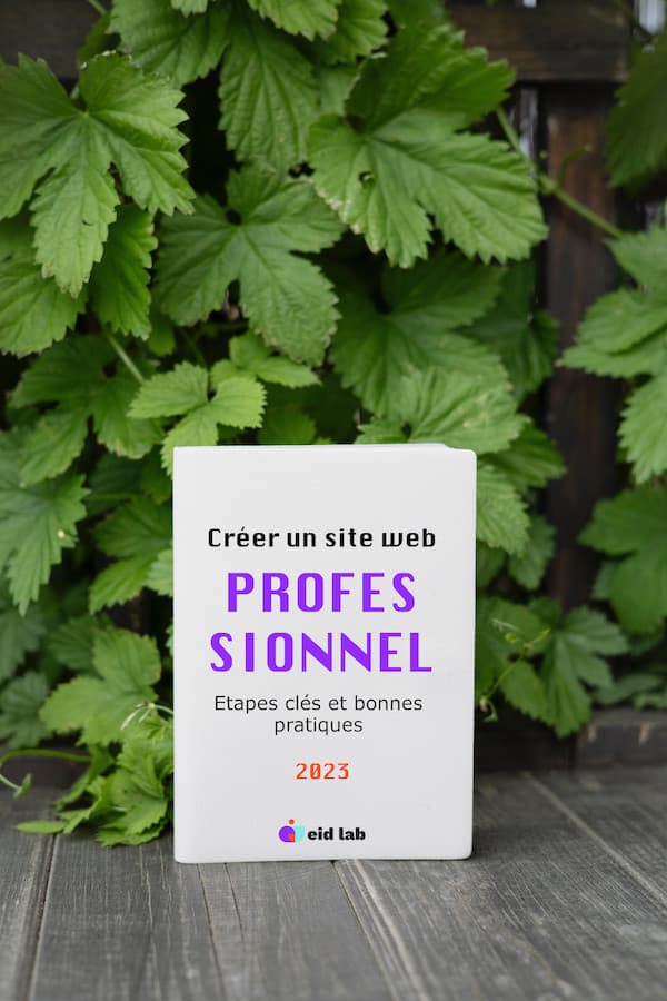 Livre blanc site web